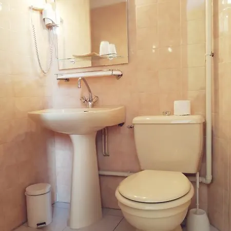 Hotel Des Lilas 2*