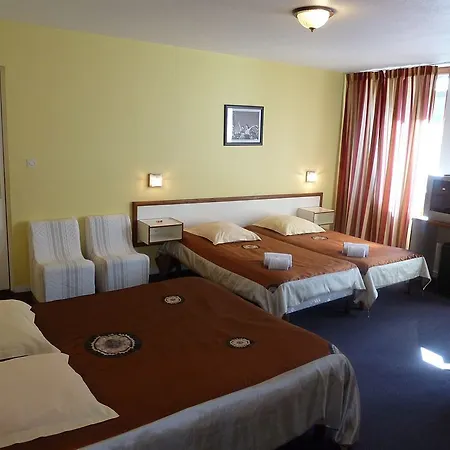 Hotel Des Lilas 2*